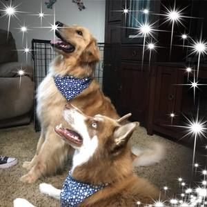 Meet your Posher, Sybil